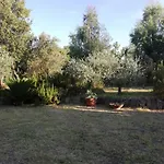 Διαμέρισμα La Cuppulata Budoni