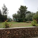 La Cuppulata Budoni