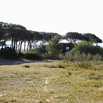 La Cuppulata *