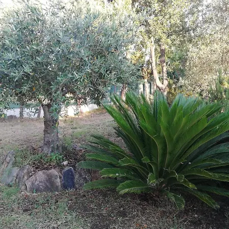 Apartment La Cuppulata