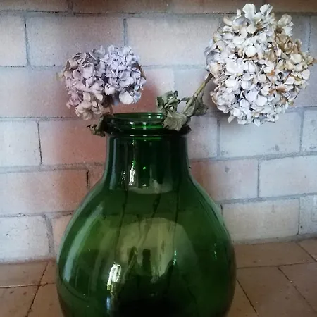 La Cuppulata Apartment