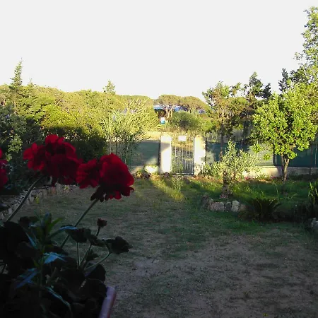 La Cuppulata Apartament Budoni