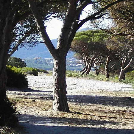 La Cuppulata * בודוני