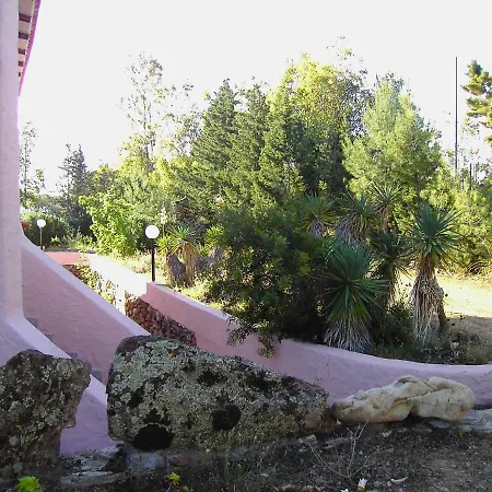 La Cuppulata בודוני